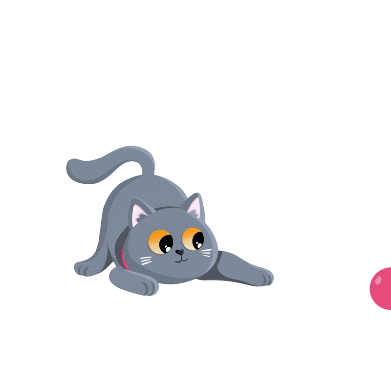 Luna the cat